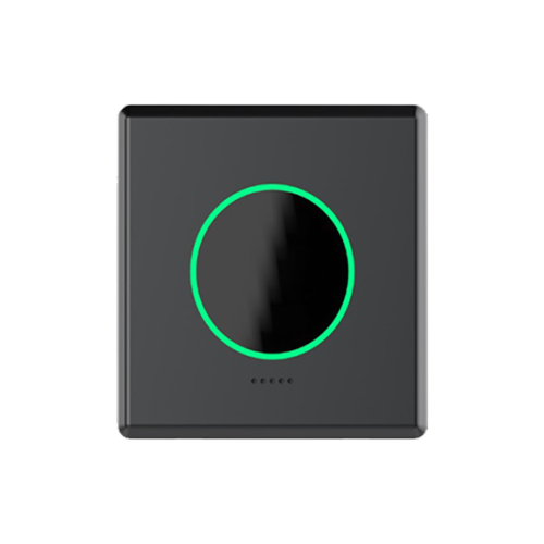 Embedded Palm Vein Recognition Terminal