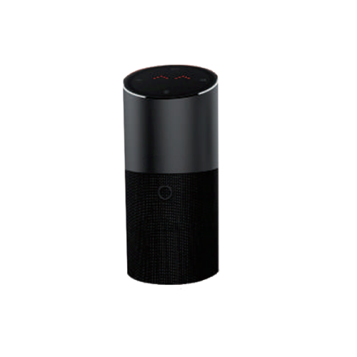 IoT Voice Speaker