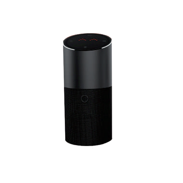 IoT Voice Speaker